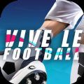 Vive le Football游戏 