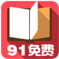 91小说破解版