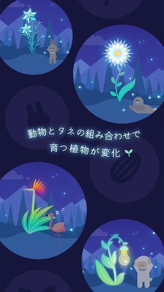 夜之森破解版