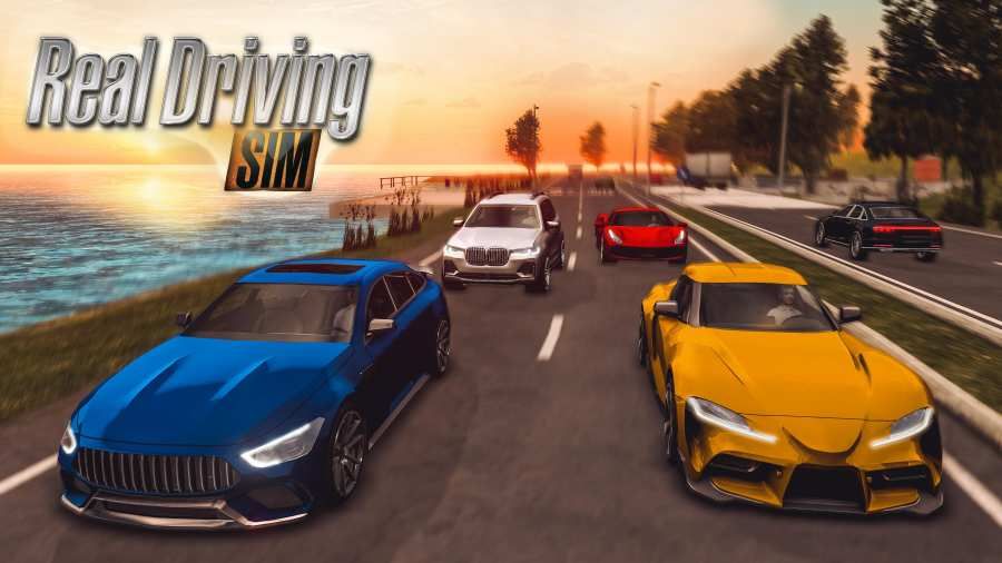 realdrivingsim破解版