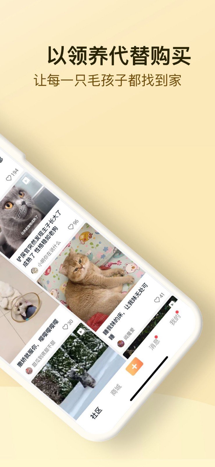 小萌猫宠物社区app手机版