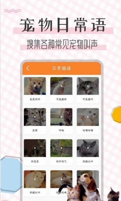 猫语翻译宝app最新版