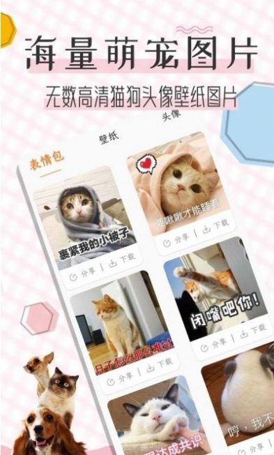 猫语翻译宝app最新版